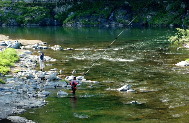 南丹市のアユ釣り解禁情報 ロータスカンパニー