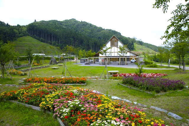 並木道中央公園