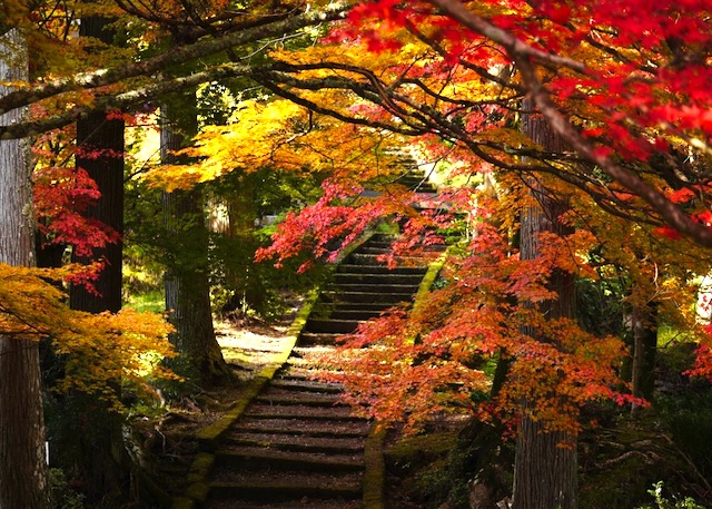 龍隠寺の紅葉