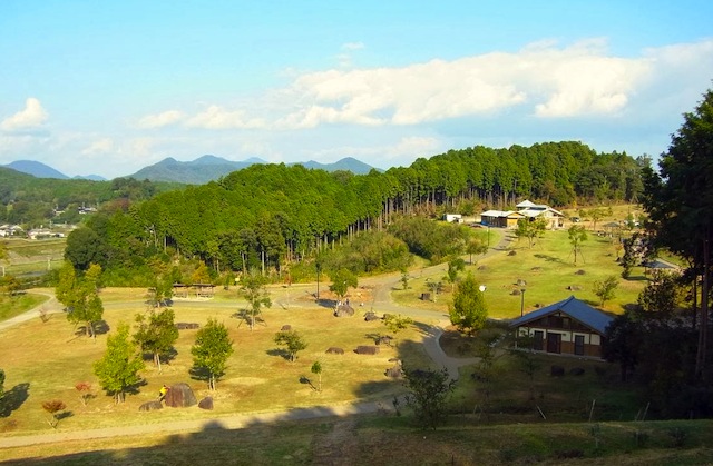 並木道公園