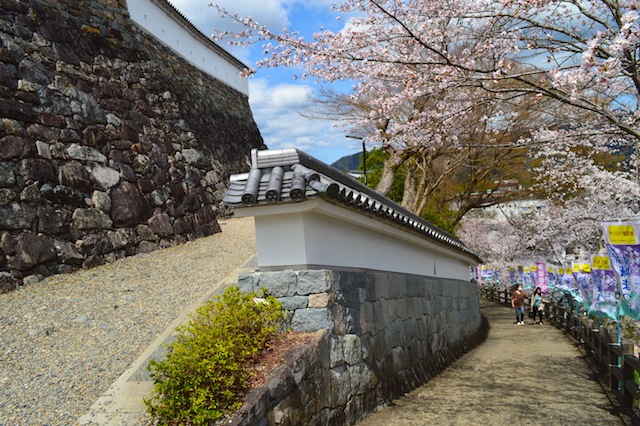 福知山城の桜