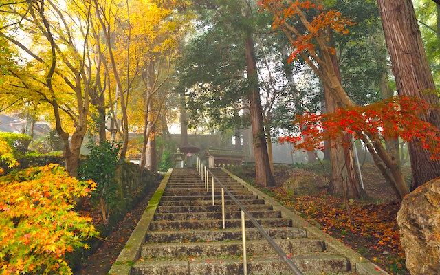 長安寺紅葉