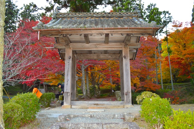 龍隠寺の紅葉