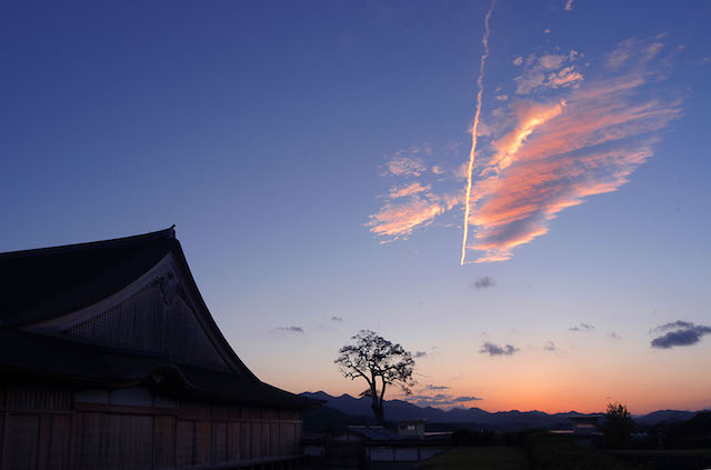 篠山城跡大書院