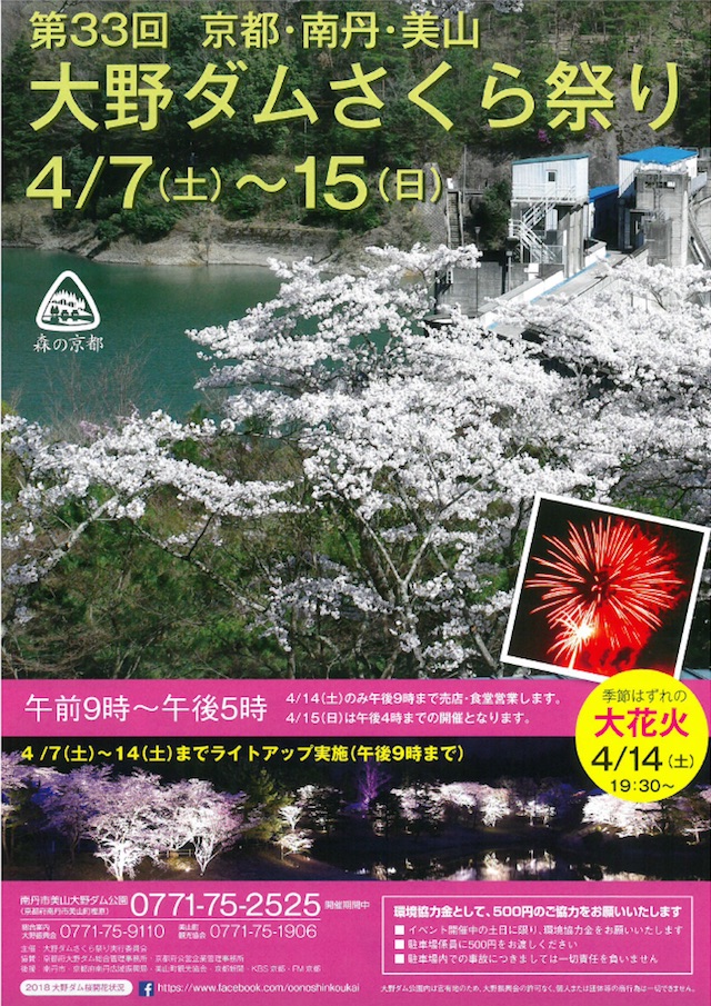 大野ダム桜祭り