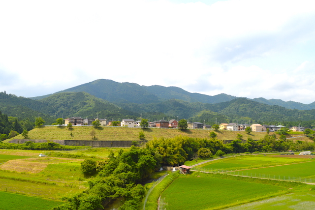 高台立地で安心